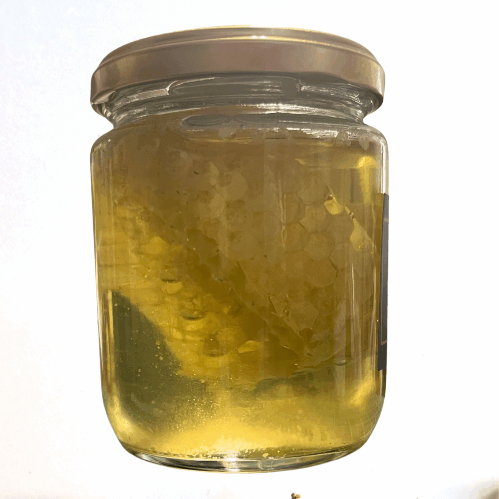 COMB honey (1)